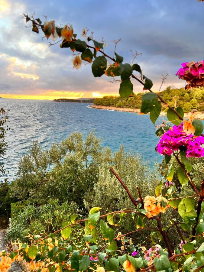 Luxury Beachfront Villa Carlisa Čiovo 外观 照片